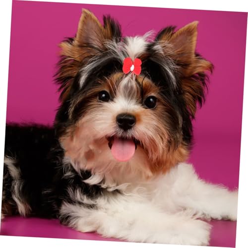 SEWOART 20 Stück Kleine Hundehaarschleifen Mit Gummiband Widerstandsfähiges Pflegezubehör Aus Leichtem Material Für Welpen Festliche Haar Accessoires Für Kleine Hunde