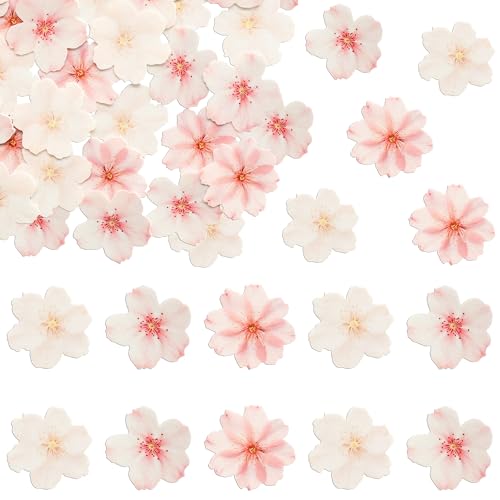 Ephlyn 54Pcs Edible Cherry Blossom Cake Decoration Spring Flowers Cupcake Toppers Wafer Paper Flowers Cake Decoration Wedding Birthday Baby Shower Party Supplies Multicolor