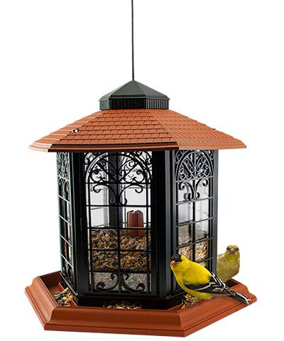 Audubon Rustica Italia Gazebo Bird Feeder