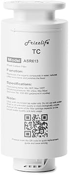 Frizzlife ASR613 Replacement Post Filter Cartridge For PD1200 Reverse Osmosis System3rd Stage