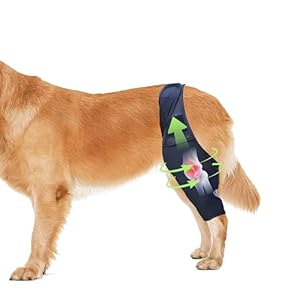 Knee Brace for Dogs, Adjustable Hip Knee Cap Dislocation Bracket, Keeps Joint Warm and Stabilizing Support, Pain Relief, Pet Joint Wound Protection for Hind and Front Legs (L)