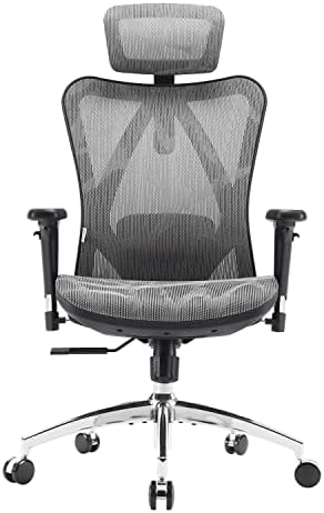 SIHOO Silla de Oficina Ergonómica, Silla de Escritorio, Respaldo ...