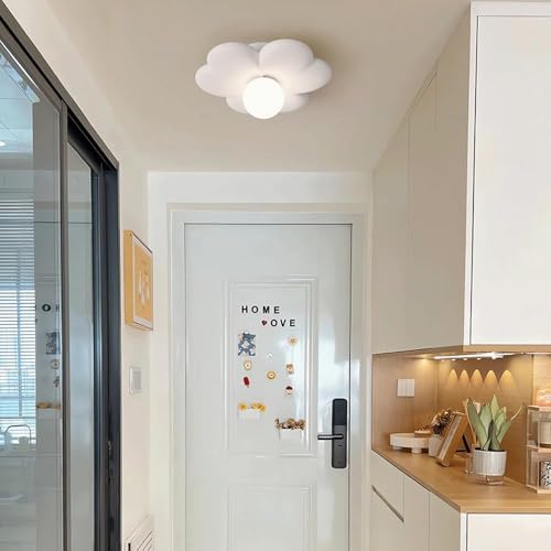 Plafón de techo moderno para dormitorio y pasillo con diseño de flor 4