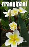  Frangipani (English Edition)