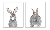 Designs by Maria Inc. Baby Nursery Wall Decor Art - Set of 2 (UNFRAMED) Wall Artwork 8x10 Baby Bunny Front and Back Photographic Print