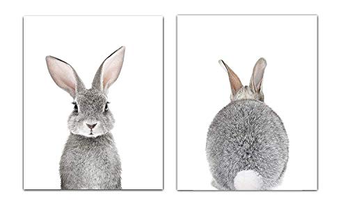 Designs by Maria Inc. Baby Nursery Wall Decor Art - Set of 2 (UNFRAMED) Wall Artwork 8x10 Baby Bunny Front and Back Photographic Print