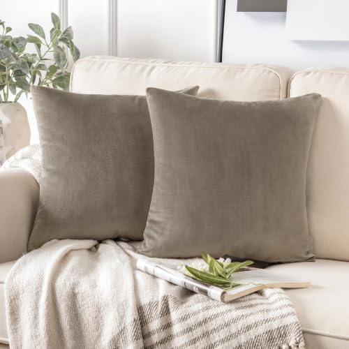 Phantoscope Pack of 2 Velvet Decorative Throw...