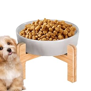 Generisch Erhöhter Keramiknapf US53PJ8V3A86Q5GAA