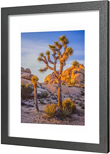 A Plus Max 20X24 Picture Frame In Black With Polished Plexiglass - Horizontal And Vertical Formats With Included Hanging Hardware- 5 Sets. #TOP4