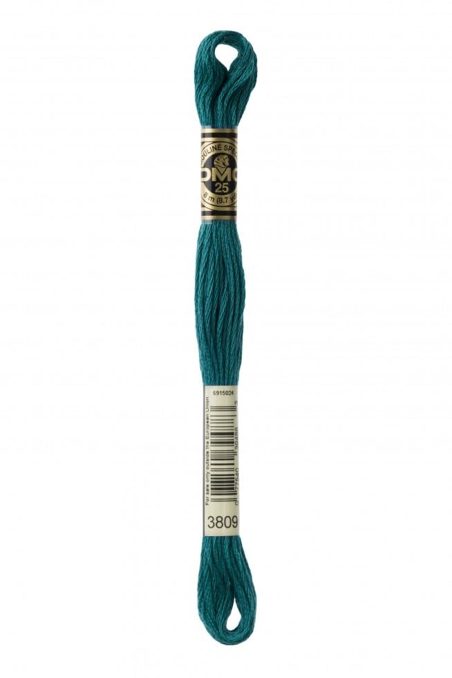 Image of DMC Stranded Cotton Embroidery Thread 3809 - per skein