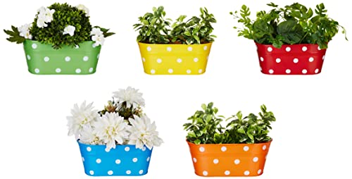 Amazon Brand – Solimo Metal Oval Shaped Planters with Hook (Set of 5)