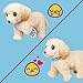 Little Live Pets Ouchies Cooper The Retriever Puppy, 50+ Sounds, Limping to Walking Puppy Toy with Vet Carrier, Interactive Toy Dog for Kids Ages 5+