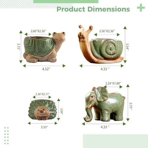 Pots de fleurs hérisson et tortue pour décorer votre bureau - 5