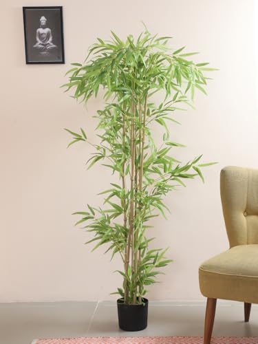 Image of Artificial Bamboo Plant with Pot, 160 cm (5.2 Ft) Tall, Realistic Faux Bamboo Tree for Home Decor, Indoor Decorative Plant for Living Room, Office, Bedroom & Reception