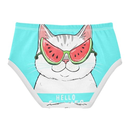 Pattern Girls Underwear Toddlers 2t Cotton Little Girl Panties Cute White Cat Blue Kids Undies Briefs2