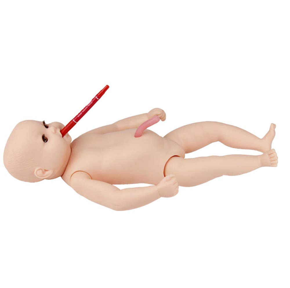 Amazon.co.jp: マネキン ベビーケア モデル - へその緒付き満月