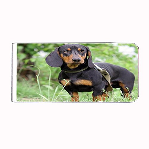 Dog Dachshund 01 Money Clip Rectangle