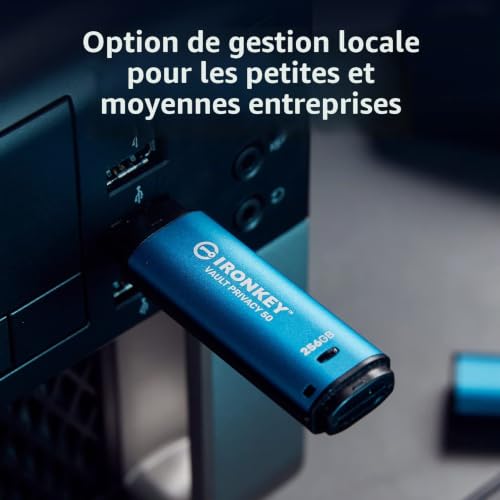 Kingston IronKey Vault Privacy 50 Certifié FIPS 197 et clé USB chiffrée XTS-AES 256 bits pour la protection des données - IKVP50-32GB