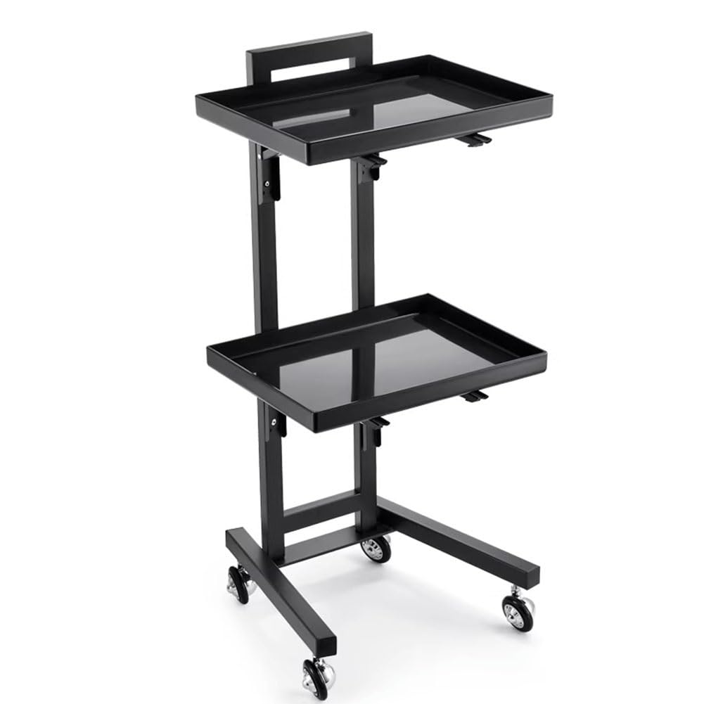 JKJZSALJ Stainless Steel Beauty Salon Trolley Salon Beauty Trolley 2 Tier Beauty Trolley Cart For Hair Stylist Home Beauty Salontrolley Rolling Cart,B,50x33x88cm