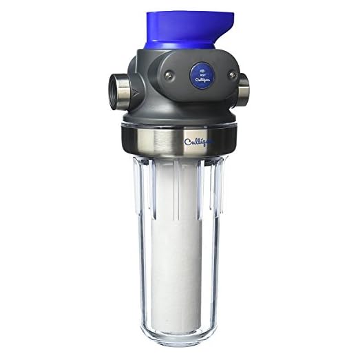Culligan Whole-House Water Filter