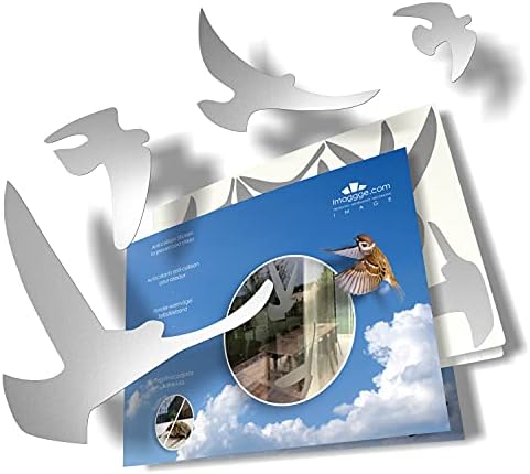 Anti-Collision Stickers to Prevent Bird Strikes on Window Glass - Set of 17 Silhouettes - Color: Silver - Window Decals