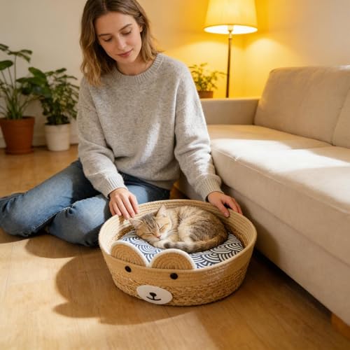 Maison pour chat d'intérieur pour protéger chatons et chiots - 4