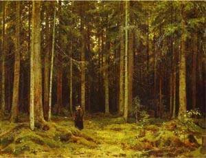 Peinture à l'huile de Ivan Shishkin reproduction de la forêt de Peterhof 12x16 pouces