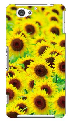 Amazon.co.jp: Coverfull ひまわり畑 produced by COLOR STAGE / for