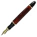 Xiaoyu Jinhao 450A Fountain Pen with Push in Style Ink Converter Removable, 18 KGP Medium Nib, Brown