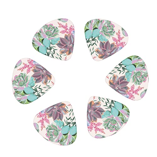 Ensemble de 12 médiators de guitare succulents colorés pour guitare acoustique, guitare électrique, contrebasse, ukulélé - Les Beatles, Paul McCartney, John Lennon, RIngo Starr, George Harrison Ensemble de 12 médiators de guitare succulents colorés pour guitare acoustique, guitare électrique, contrebasse, ukulélé – Image 3
