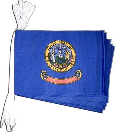 Guirlande drapeau USA Idaho de 5,9 m pavillon américain pour décoration