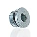 OEM Main Gearcase Internal Hex Plug 2004-2017 Polaris Sportsman Ranger Magnum 3233794
