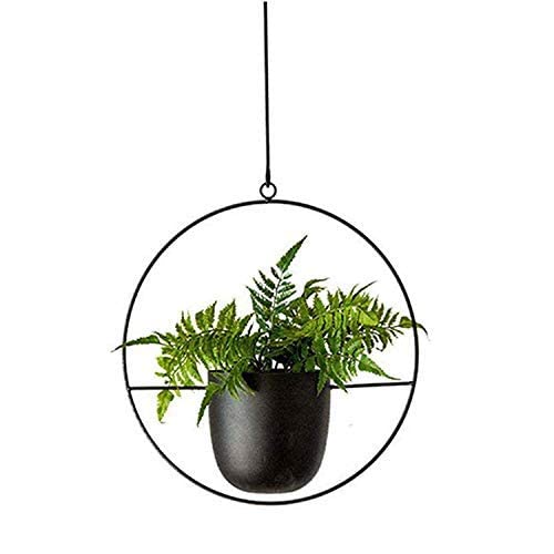 NCGL Suspension pour Plantes en Acrylique