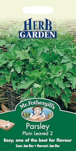 Mr Fothergill's Parsley Plain Leaved 2