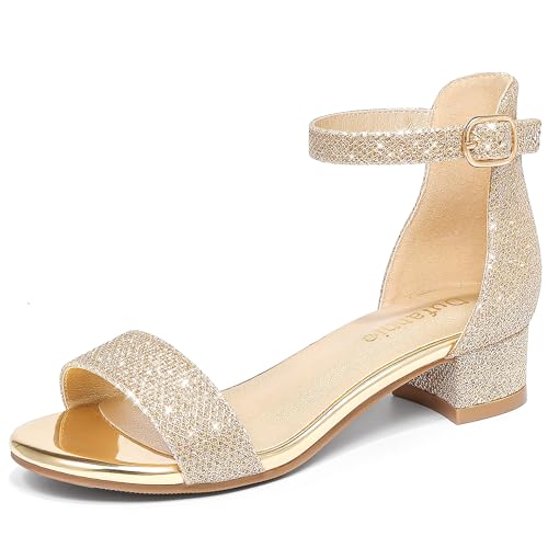 Dufannie Girl Gold Heels for Kids Dress Shoes Big Girl Dress Sandal Size 3 High Heels for Kids Pumps Open Toe Formal Tween Shoes Pageant Church Party Dance Wedding Graduation(3603Cham 3)