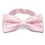 Pale Pink Clara Paisley