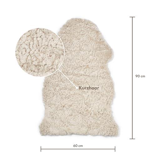 NORDIC SHEEP Lammfell Kurzhaar 90x60 cm | Lammfell Echt für das Sofa, den Stuhl oder rund um den Esstisch | Jedes Teppich ist EIN Unikat und von der Natur geschaffen | Farbe: Beige