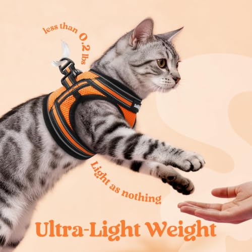 Image of rabbitgoo Cat Harness and Leash Set, Step-in Soft Vest, Orange | Escape Proof, Lightweight, Easy-on & Adjustable, Hook & Loop with Buckle, Reflective, for Small Cats Walks, L