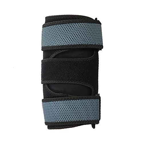 I T|[^[ Ђ Ep h~ I֐ߑ veN^[ o[{[ 싅 StI ejXI N  G{[oh   x I֐ Œ WjA /jyt[TCYz