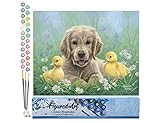 Figured'Art Peinture par Numéro Adulte Labrador et poussins - Activité Manuelle Kit de Loisir Créatif DIY Numéro d'Art Complet - 40x50cm sans châssis en bois