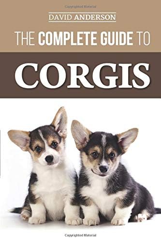 The Complete Guide to Corgis: Everything to know about both the Pembroke Welsh and Cardigan Welsh Corgi dog breeds