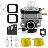 CARBBIA 753-06258A Carburetor for Ryobi RY251PH RY252CS RY254BC 2 Cycle 25cc Engine Cultivator String Trimmer Edger with 560873001 Air Filter Tune-Up Kit
