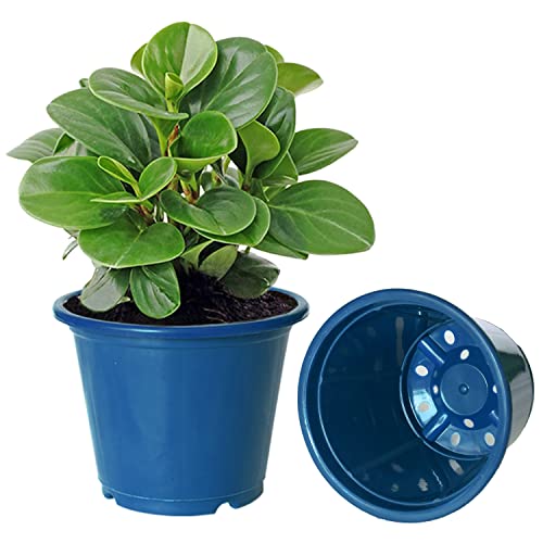 Image of Kuber Industries Durable Plastic Flower Pot|Gamla with Drain Holes for Indoor Home Decor & Outdoor Balcony,Garden,6 inchx5 inch,Pack of 8,(Blue)