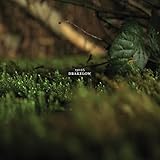 Wayside and Woodland Recordings