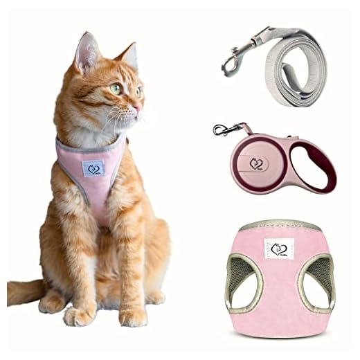 Samen Op Stap: 15 Kittentuigjes voor Onvergetelijke Avonturen 10 Belffy Kattenharnas en Lijnen Set met Verstelbare Automatische Lijn voor uw Kat, Kitten, Puppy of Hond. Ontsnappingsbestendige en Ademende Lijn voor Grote, Medium en Kleine Huisdieren (Medium, Roze).