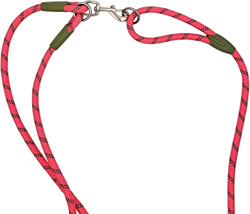 Hands Free Dog Leash Waist & Crossbody Rope For 2 Dogs Nylon Reflective Heavy Duty Hiking Bungee Leash For Small Large Dogs #TOP5