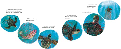 Yoshi, Sea Turtle Genius: A True Story about an Amazing Swimmer - Image 4