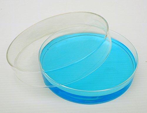 Petri Dish, Clear Borosillicate Glass, 150mm X 30mm, Pack of 2