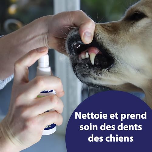 Vignette produit