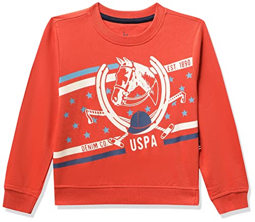 Image of U.S. POLO ASSN. Boys Cotton Turtle Neck Sweatshirt